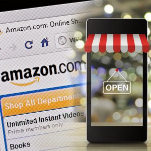 Design & Develop a Responsive Multi-Vendor E-commerce Website in Nigeria