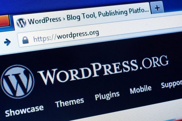 What Nigerians Using WordPress Website Need to Know about Gutenburg