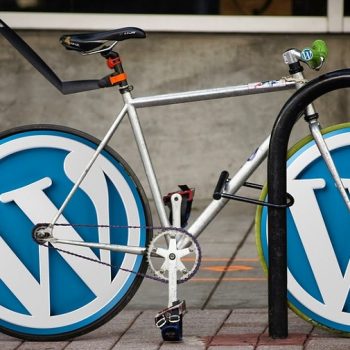 Top 10 WordPress Plugins Used by Nigerian Bloggers