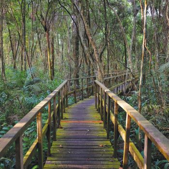 Lekki Conservation Centre
